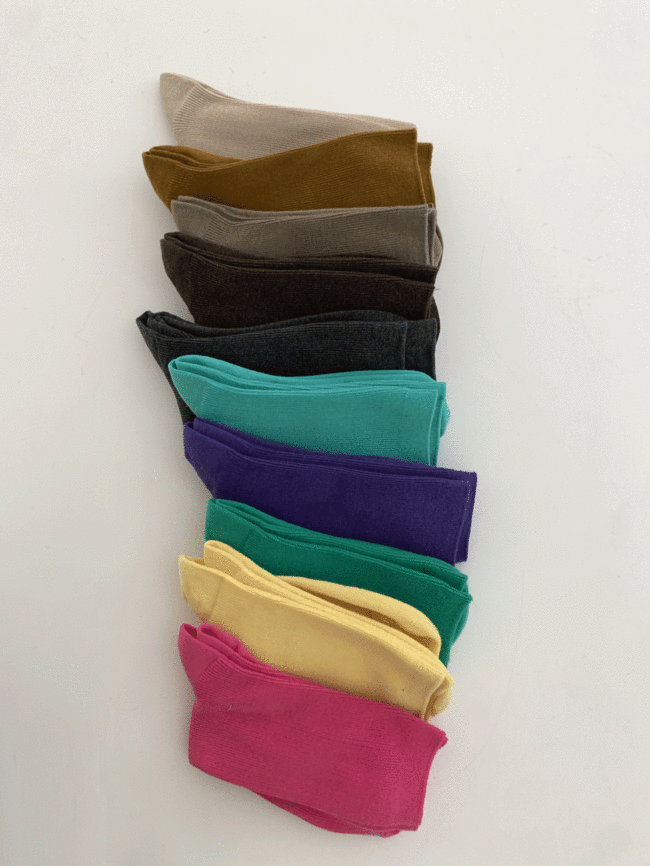 color socks 10켤레 한세트!